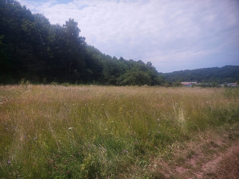 Draganu Arges